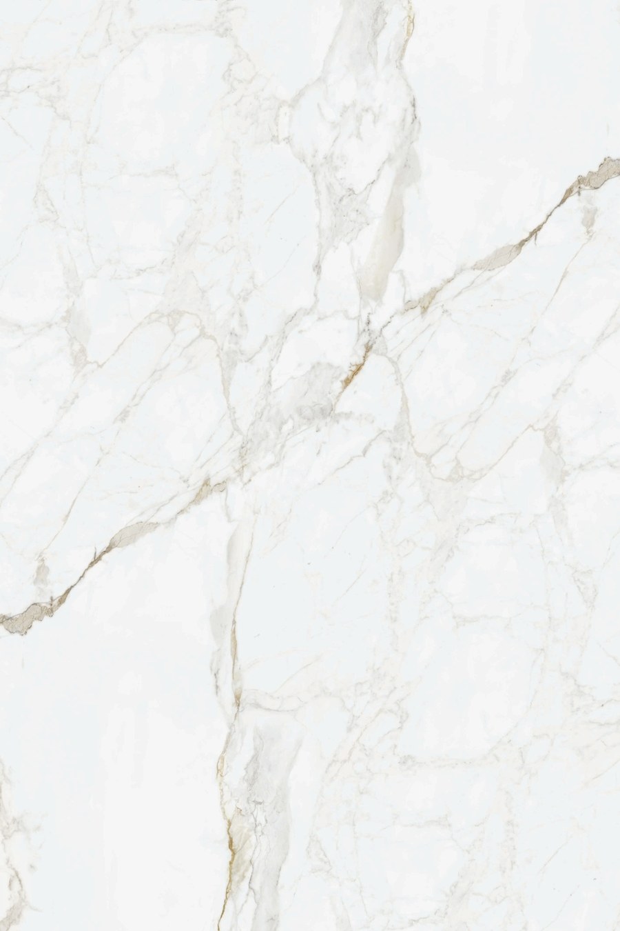 panel scienny nr16.jpg